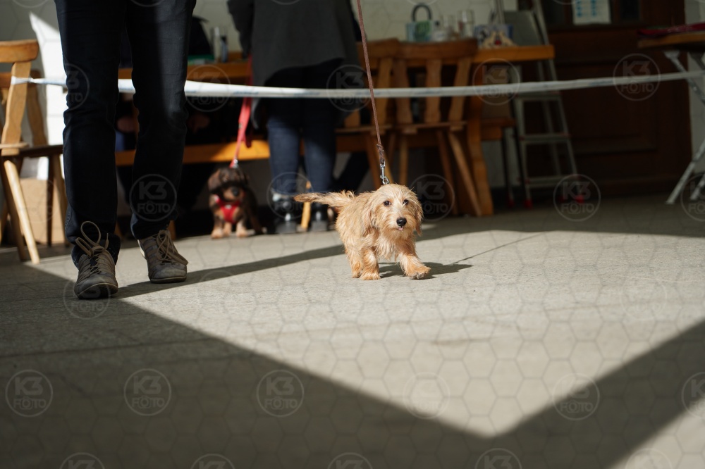 s_A9_09166.jpg